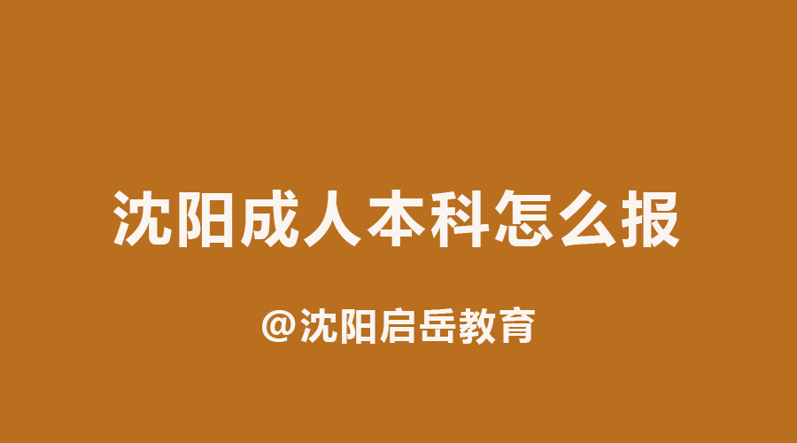 沈阳成人本科怎么报